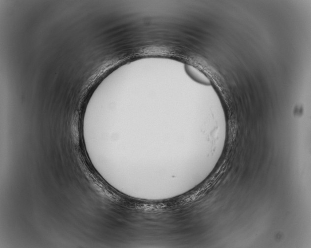 X0000097980345200804211043