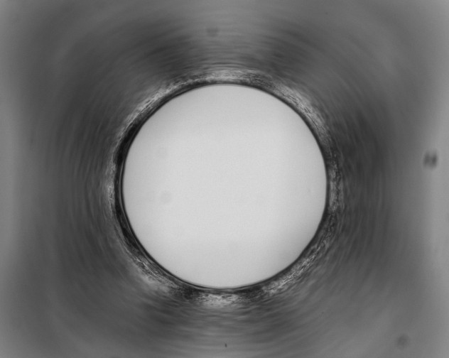 X0000097980346200804211043