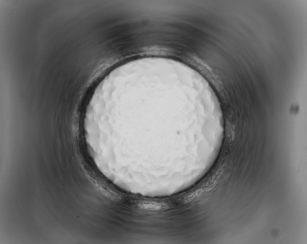 X0000097980347200804211043