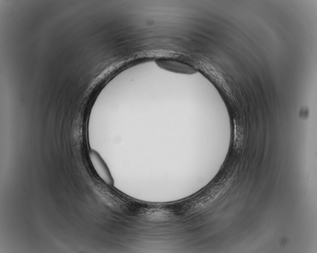 X0000097980348200804211043