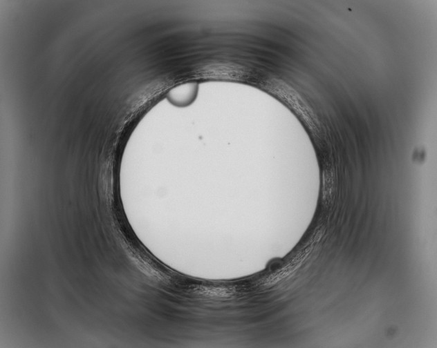 X0000097980349200804211044