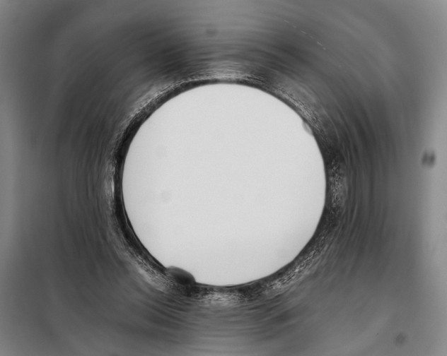 X0000097980350200804211044