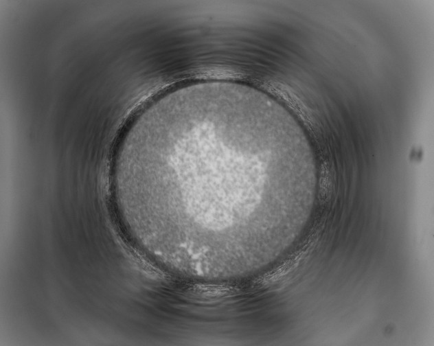 X0000097980351200804211044