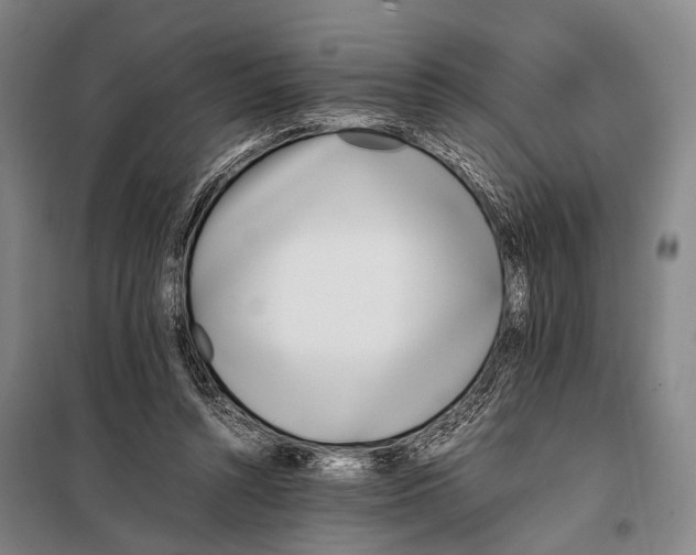 X0000097980352200804211044