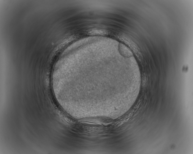 X0000097980353200804211044