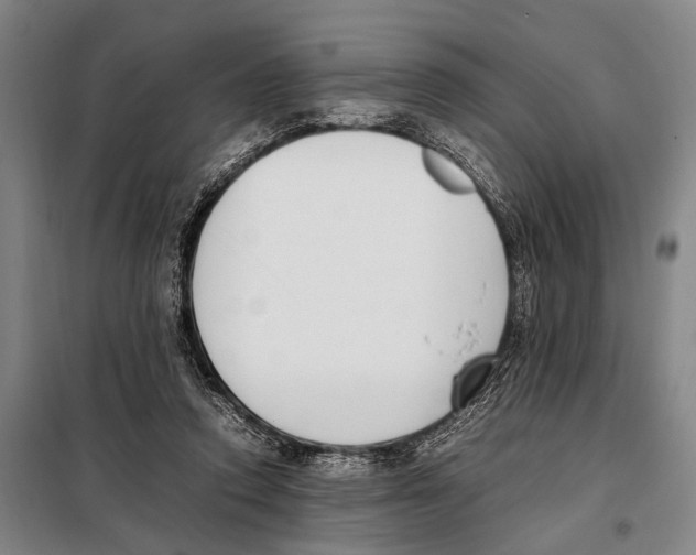 X0000097980354200804211044