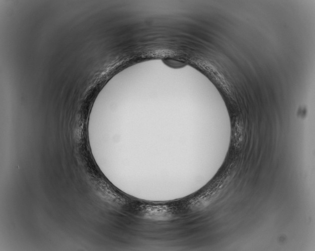 X0000097980355200804211044