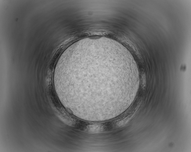 X0000097980356200804211044