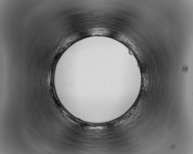 X0000097980357200804211044