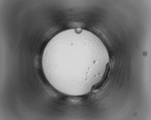 X0000097980359200804211044