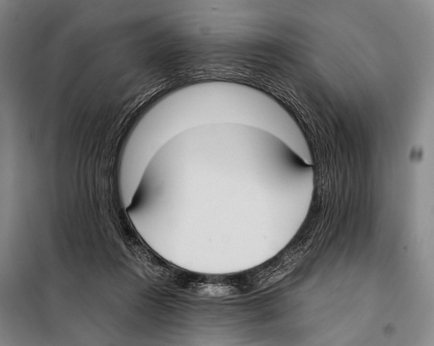 X0000097980360200804211044