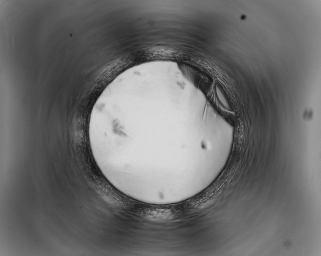 X0000097980361200804211044