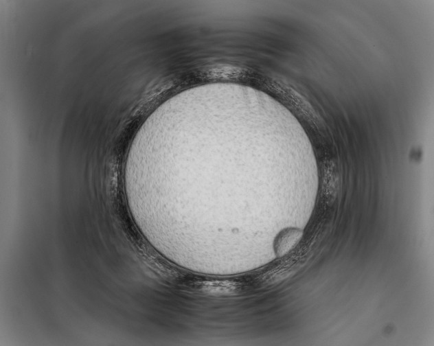 X0000097980363200804211044