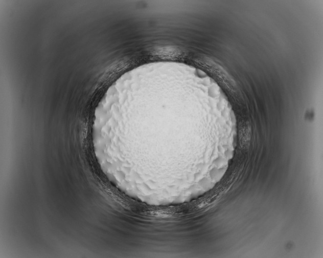 X0000097980365200804211044