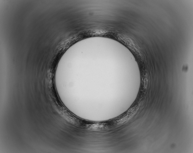 X0000097980366200804211044