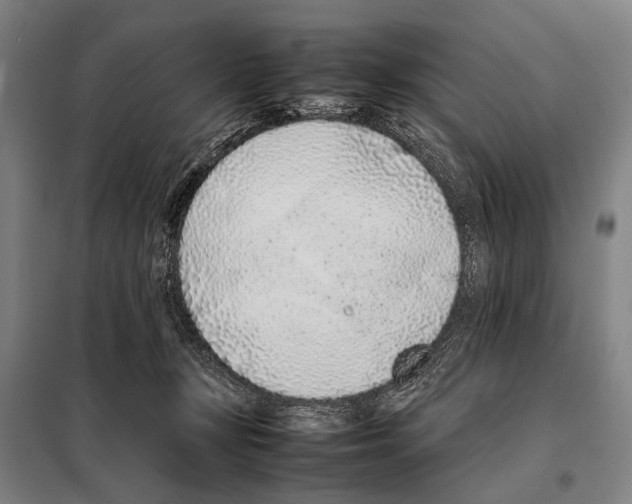 X0000097980367200804211044