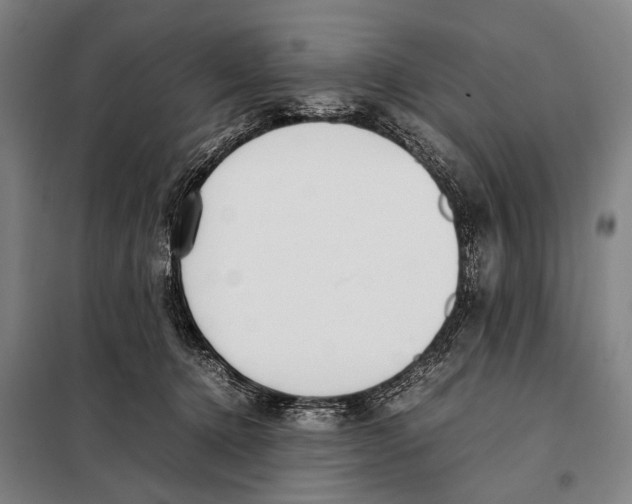 X0000097980368200804211044