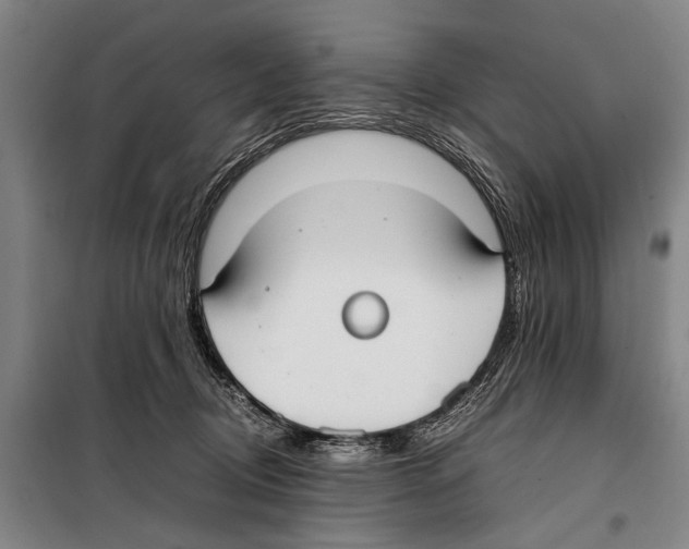 X0000097980370200804211044