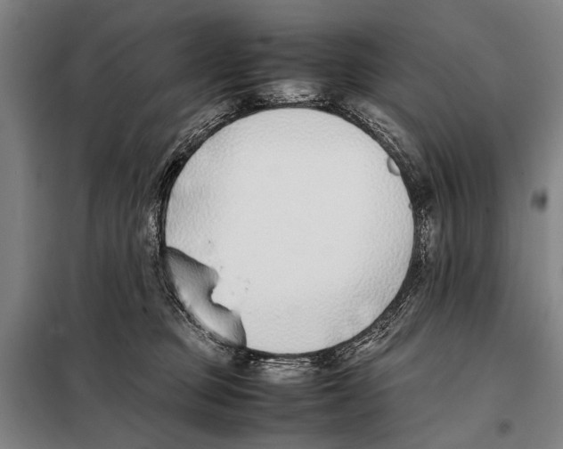 X0000097980373200804211044