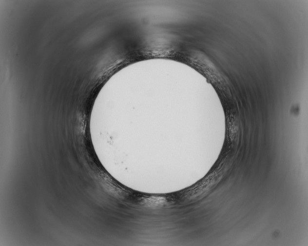 X0000097980374200804211044