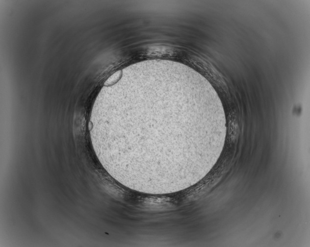 X0000097980375200804211044