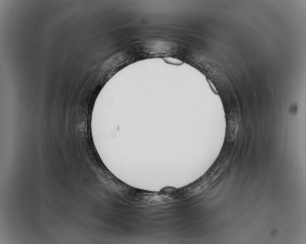 X0000097980379200804211044