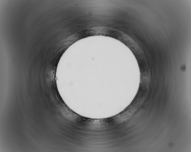 X0000097980382200804211044