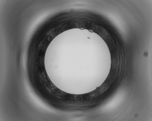 X0000097980383200804211044