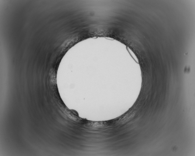 X0000097980384200804211044