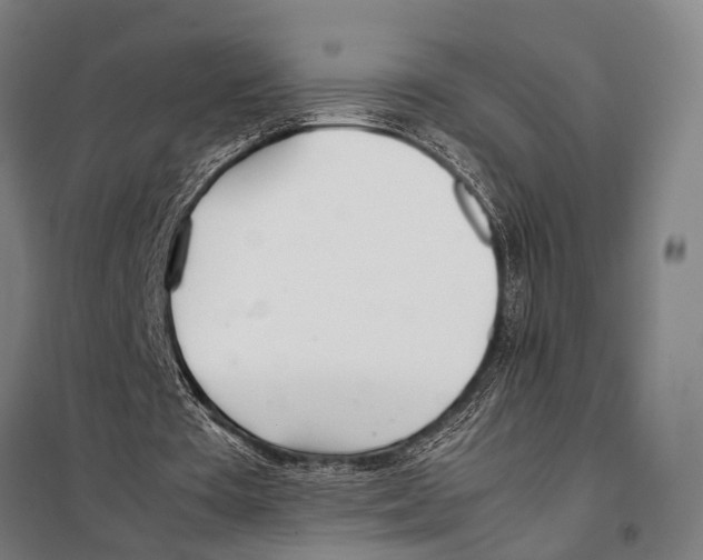 X0000097980385200804211043