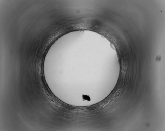 X0000097980386200804211043