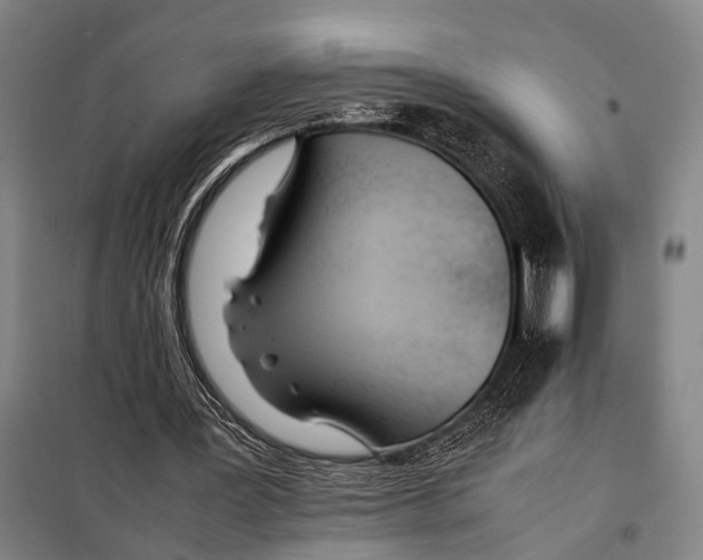 X0000097980387200804211043