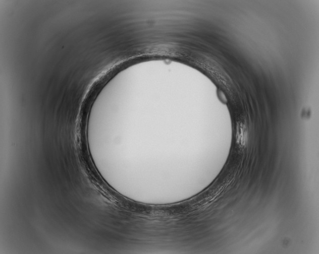 X0000097980388200804211043