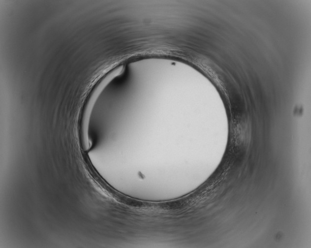 X0000097980389200804211043