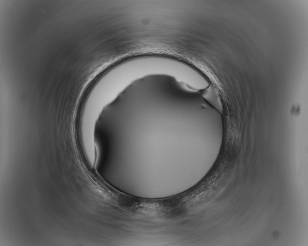 X0000097980391200804211043