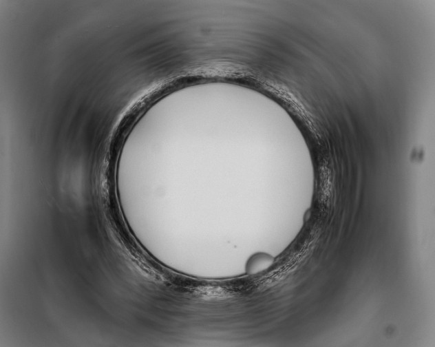 X0000097980392200804211043