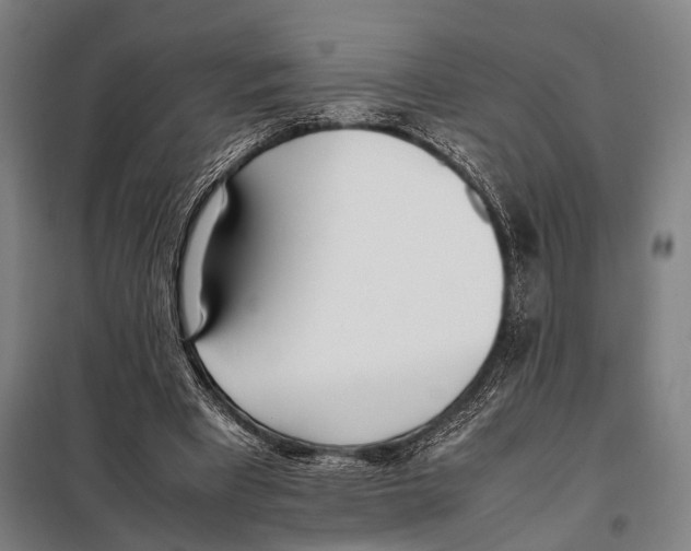 X0000097980393200804211043