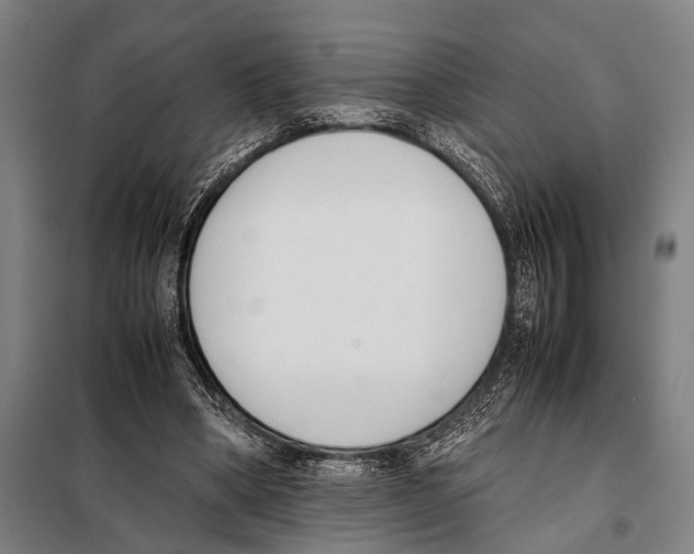 X0000097980394200804211043