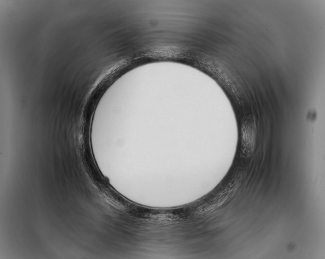 X0000097980396200804211043