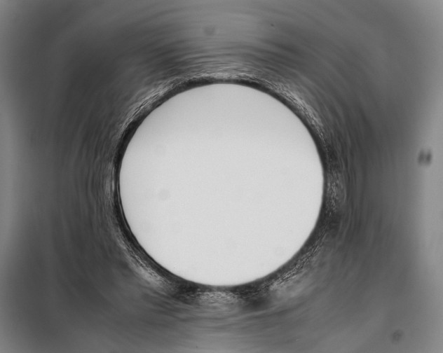 X0000097980397200804211043