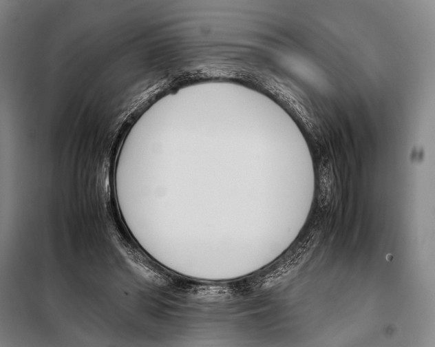 X0000097980398200804211043