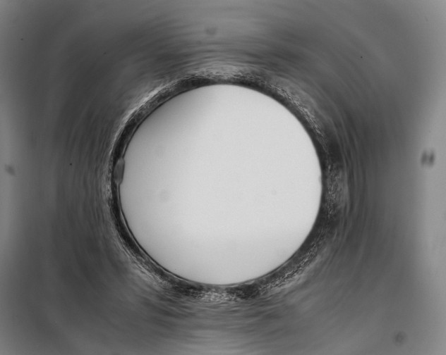 X0000097980399200804211043