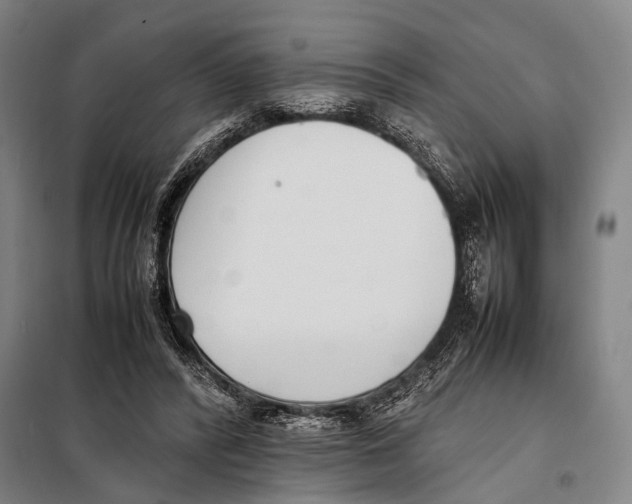 X0000097980400200804211043