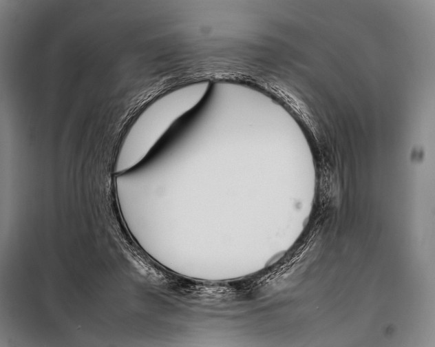 X0000097980401200804211043