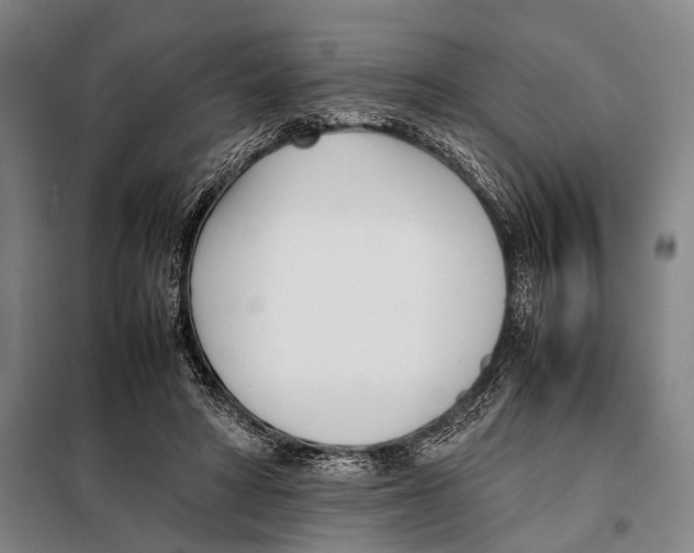 X0000097980402200804211043