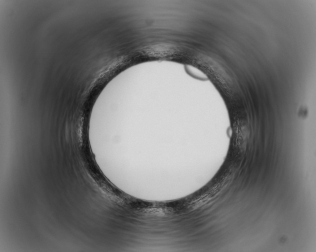 X0000097980404200804211043