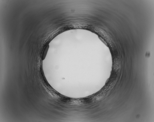 X0000097980405200804211043