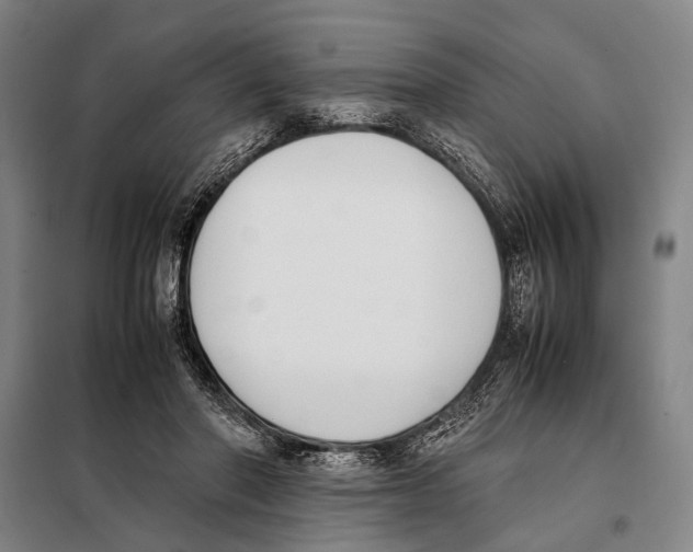 X0000097980406200804211043