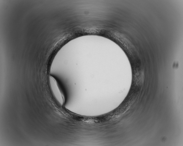 X0000097980407200804211043