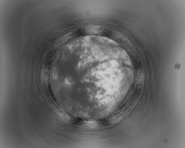 X0000097980409200804211043